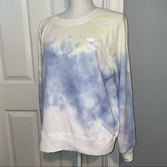 Wildfox Tops - NWT Wildfox Overcast Wash Sommers Sweatshirt